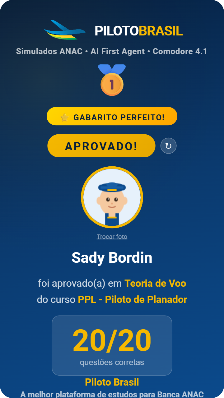Sady Bordin aprovado