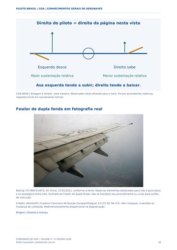 Superfícies de comando — página real do Manual CGA Piloto Brasil.