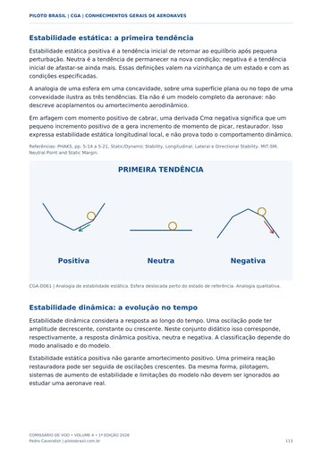 Estabilidade e movimentos — página real do Manual CGA Piloto Brasil.