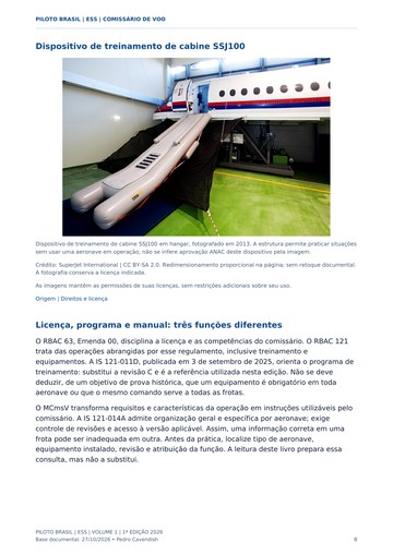 Treinamento e comunicação — página real do Manual ESS Piloto Brasil.