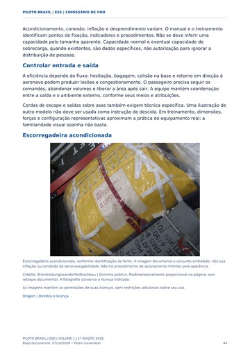 Escorregadeiras e abandono — página real do Manual ESS Piloto Brasil.