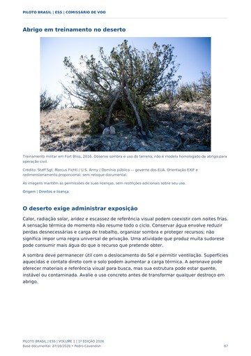 Sobrevivência no deserto — página real do Manual ESS Piloto Brasil.