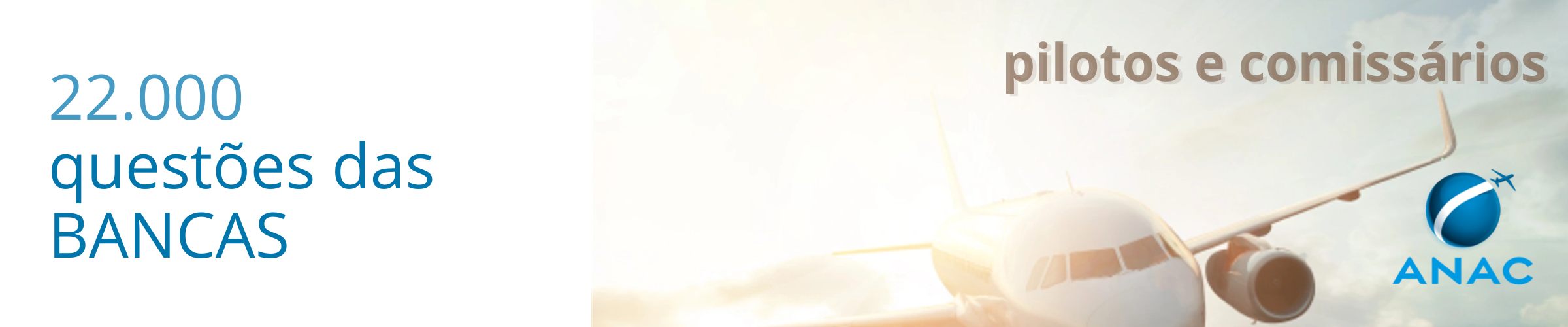 Pilotos e Comissários - Piloto Brasil